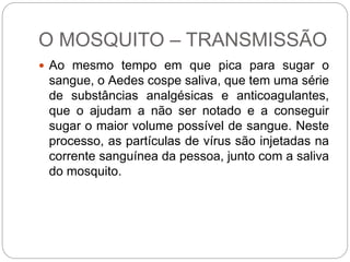 O MOSQUITO – TRANSMISSÃO
 Ao mesmo tempo em que pica para sugar o
sangue, o Aedes cospe saliva, que tem uma série
de substâncias analgésicas e anticoagulantes,
que o ajudam a não ser notado e a conseguir
sugar o maior volume possível de sangue. Neste
processo, as partículas de vírus são injetadas na
corrente sanguínea da pessoa, junto com a saliva
do mosquito.
 