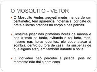 O MOSQUITO - VETOR
 O Mosquito Aedes aegypti mede menos de um
centímetro, tem aparência inofensiva, cor café ou
preta e listras brancas no corpo e nas pernas.
 Costuma picar nas primeiras horas da manhã e
nas últimas da tarde, evitando o sol forte, mas,
mesmo nas horas quentes, ele pode atacar à
sombra, dentro ou fora de casa. Há suspeitas de
que alguns ataquem também durante a noite.
 O indivíduo não percebe a picada, pois no
momento não dói e nem coça.
 