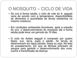 O MOSQUITO – CICLO DE VIDA
 Do ovo à forma adulta, o ciclo de vida do A. aegypti
varia de acordo com a temperatura, disponibilidade
de alimentos e quantidade de larvas existentes no
mesmo criadouro.
 Em condições ambientais favoráveis, após a eclosão
do ovo, o desenvolvimento do mosquito até a forma
adulta pode levar um período de 10 dias.
 O ciclo do Aedes aegypti é composto por quatro
fases: ovo, larva, pupa e adulto. As larvas se
desenvolvem em água parada, limpa ou suja. Na fase
do acasalamento, em que as fêmeas precisam de
sangue para garantir o desenvolvimento dos ovos,
ocorre a transmissão da doença.
 