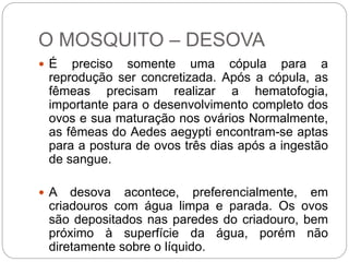 O MOSQUITO – DESOVA
 É preciso somente uma cópula para a
reprodução ser concretizada. Após a cópula, as
fêmeas precisam realizar a hematofogia,
importante para o desenvolvimento completo dos
ovos e sua maturação nos ovários Normalmente,
as fêmeas do Aedes aegypti encontram-se aptas
para a postura de ovos três dias após a ingestão
de sangue.
 A desova acontece, preferencialmente, em
criadouros com água limpa e parada. Os ovos
são depositados nas paredes do criadouro, bem
próximo à superfície da água, porém não
diretamente sobre o líquido.
 