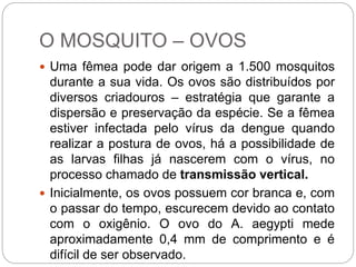 O MOSQUITO – OVOS
 Uma fêmea pode dar origem a 1.500 mosquitos
durante a sua vida. Os ovos são distribuídos por
diversos criadouros – estratégia que garante a
dispersão e preservação da espécie. Se a fêmea
estiver infectada pelo vírus da dengue quando
realizar a postura de ovos, há a possibilidade de
as larvas filhas já nascerem com o vírus, no
processo chamado de transmissão vertical.
 Inicialmente, os ovos possuem cor branca e, com
o passar do tempo, escurecem devido ao contato
com o oxigênio. O ovo do A. aegypti mede
aproximadamente 0,4 mm de comprimento e é
difícil de ser observado.
 