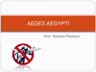 Prof.: Roberto Pacheco
AEDES AEGYPTI
 