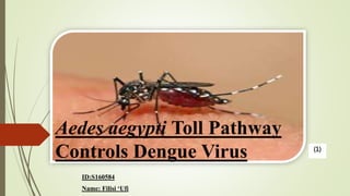 Aedes aegypti Toll Pathway
Controls Dengue Virus
ID:S160584
Name: Filisi ‘Ufi
(1)
 