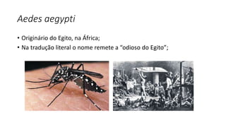 Aedes aegypti
• Originário do Egito, na África;
• Na tradução literal o nome remete a “odioso do Egito”;
 