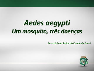 Aedes aegypti
Um mosquito, três doenças
Secretário da Saúde do Estado do Ceará
 