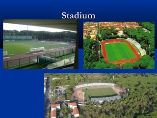 StadiumStadium
 
