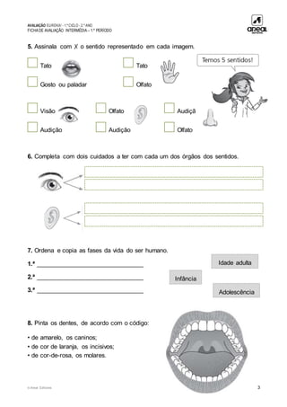 AVALIAÇÃO EUREKA! - 1.º CICLO - 2.º ANO
FICHADE AVALIAÇÃO INTERMÉDIA – 1.º PERÍODO
© Areal Editores 3
5. Assinala com ✗ o sentido representado em cada imagem.
Tato Tato
Gosto ou paladar Olfato
Visão Olfato Audição
Audição Audição Olfato
6. Completa com dois cuidados a ter com cada um dos órgãos dos sentidos.
7. Ordena e copia as fases da vida do ser humano.
1.ª _______________________________
2.ª _______________________________
3.ª _______________________________
8. Pinta os dentes, de acordo com o código:
• de amarelo, os caninos;
• de cor de laranja, os incisivos;
• de cor-de-rosa, os molares.
Idade adulta
Infância
Adolescência
 