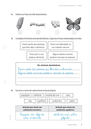©AREALEDITORES
FICHA DE AVALIAÇÃO TRIMESTRAL – 2.º PERÍODO
Estudo do Meio 3
4. Ordena as fases da vida da borboleta.
5. Completaafichadosanimaisdomésticos.Copiasóasfrasesrelacionadascomeles.
Vivem perto das pessoas,
que lhes dão o alimento.
Vivem em liberdade no
seu habitat natural.
Procuram o seu
próprio alimento.
Alguns destes animais
prestam serviços às pessoas.
Os animais domésticos
6. Escreve o nome de cada animal no local próprio.
papagaio elefante estrela-do-mar vaca
cão golfinho andorinha polvo
Animais que vivem em
ambientes terrestres
Animais que vivem em
ambientes aquáticos
2 3 1 4
V@i€vÆe‰m €pæe€r€t@o£ d@a€ß €pæe€s€s@o£a€ß, q@uæe@ ﬂl€hæe€ß d@ã@o£ o£ a€l@i‰mæe‰n€t@o£.
A€l@g@u‰n€ß dæe€s€tæe€ß a‰n@i‰m@a@i€ß €p€ræe€s€t@a‰m €sæe€r€v£i@ç@o£ß à€ß €pæe€s€s@o£a€ß.
P@a€p@a@g@a@i@o£; c@ã@o£; æe€læef@a‰n€tæe@;
∆£a@c@a@; a‰n@d@o£r@i‰n€h@a
æe€s€t€ræe€l@a@-d@o£-µ@a€r@; €p@o£l€v£o£;
g@o£lf@i‰n€h@o£
 