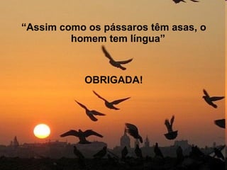 “ Assim como os pássaros têm asas, o homem tem língua” OBRIGADA! 