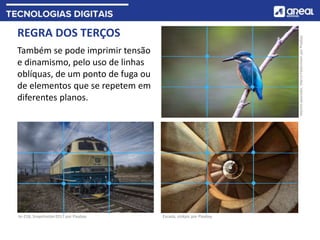 REGRA DOS TERÇOS
Também se pode imprimir tensão
e dinamismo, pelo uso de linhas
oblíquas, de um ponto de fuga ou
de elementos que se repetem em
diferentes planos.
br-218, Snapshooter2017 por Pixabay Escada, stokpic por Pixabay
Martim-pescador,
Marco
Federmann
por
Pixabay
 
