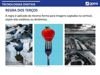 REGRA DOS TERÇOS
A regra é aplicada da mesma forma para imagens captadas na vertical,
sejam elas estáticas ou dinâmicas.
Pombos, wal_172619 por Pixabay Vicki Hamilton por Pixabay Paris,István Kocsis por Pixabay
 