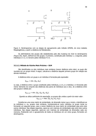 58
Figura 2. Dendrogramas com as etapas do agrupamento pelo método UPGMA, de cinco isolados
fitopatogênicos, a partir a distância de Mahalanobis.
Os delimitadores dos grupos são estabelecidos pela alta mudança de nível no dendrograma
(Figura 2D). Assim, definem-se três grupos. O primeiro, constituído pelo indivíduo 1, o segundo, pelos
indivíduos 2 e 3, e o terceiro pelos indivíduos 4 e 5.
3.2.1.2. Método do Vizinho Mais Próximo – SLM
São identificados os dois indivíduos mais similares (menor distância entre eles), os quais são
reunidos em um grupo inicial. A seguir, calcula-se a distância daquele primeiro grupo em relação aos
demais indivíduos.
A distância entre um grupo e um indivíduo é fornecida pela expressão:
d(ab)c = min. {dac; dbc}
ou seja, a distância entre o grupo constituído pelos indivíduos, a e b, e o indivíduo c é fornecida pelo
menor elemento do conjunto das distâncias dos pares de indivíduos (ac) e (bc). Já a distância entre
dois grupos é obtida por:
d(ab) (cd) = min. {dac; dad; dbc; dbd}.
Quando se utiliza coeficiente de associação, os grupos são unidos a partir do maior valor:
d(ab) (cd) = max. {dac; dad; dbc; dbd}.
Constitui-se uma nova matriz de similaridade, de dimensão menor que a inicial, e identificam-se
os indivíduos e, ou, grupos mais similares, incorporando-se outro indivíduo no grupo inicial ou
formando um segundo grupo, caso a menor distância da nova matriz de similaridade seja entre dois
outros indivíduos. Nas etapas seguintes, opera-se com matrizes de similaridade seja entre dois outros
indivíduos. Nas etapas seguintes, opera-se com matrizes de similaridade de dimensões cada vez
menores, finalizando com o agrupamento de todos os indivíduos em um único grupo, formando um
dendrograma.
 