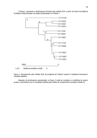 59
A Figura 1 apresenta o dendrograma formado pelo método SLM, a partir da matriz de distância
Euclidiana média baseado nos dados apresentados na Tabela 1.
100% 0
1,712 Distância euclidiana média 0
Figura 3. Agrupamento pelo método SLM, de progênies de ‘Catimor’ quanto à resistência horizontal a
Hemileia vastatrix.
Baseado do dendrograma apresentado na Figura 3 pode-se considerar a existência de quatro
grupos, concordando com os resultados obtidos pela análise de componentes principais (Tabela 4).
 