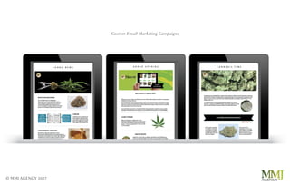 © MMJ AGENCY 2017
Custom Email Marketing Campaigns
 