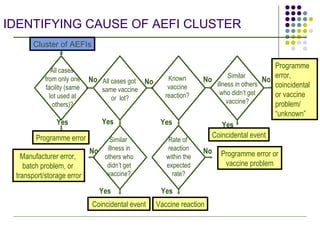 IDENTIFYING CAUSE OF AEFI CLUSTER Yes Yes Yes Yes Yes Yes No No No No No No Programme error, coincidental or vaccine problem/ “unknown” Manufacturer error,  batch problem, or  transport/storage error Programme error Coincidental event Vaccine reaction Cluster of AEFIs All cases  from only one facility (same lot used at others)? Coincidental event Programme error or vaccine problem All cases got  same vaccine or  lot? Known vaccine reaction? Similar  illness in others who didn’t get vaccine? Similar  illness in others who didn’t get vaccine? Rate of  reaction within the expected rate? 
