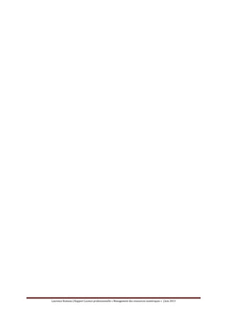 Laurence Rumeau | Rapport Licence professionnelle « Management des ressources numériques » | Juin 2013
 