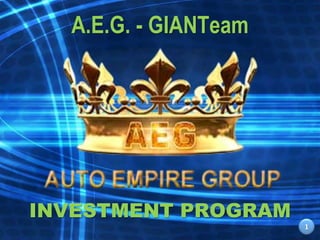 A.E.G. - GIANTeam
INVESTMENT PROGRAM
1
 