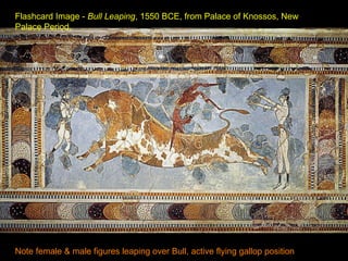 Flashcard Image -  Bull Leaping , 1550 BCE, from Palace of Knossos, New Palace Period,  Note female & male figures leaping over Bull, active flying gallop position 