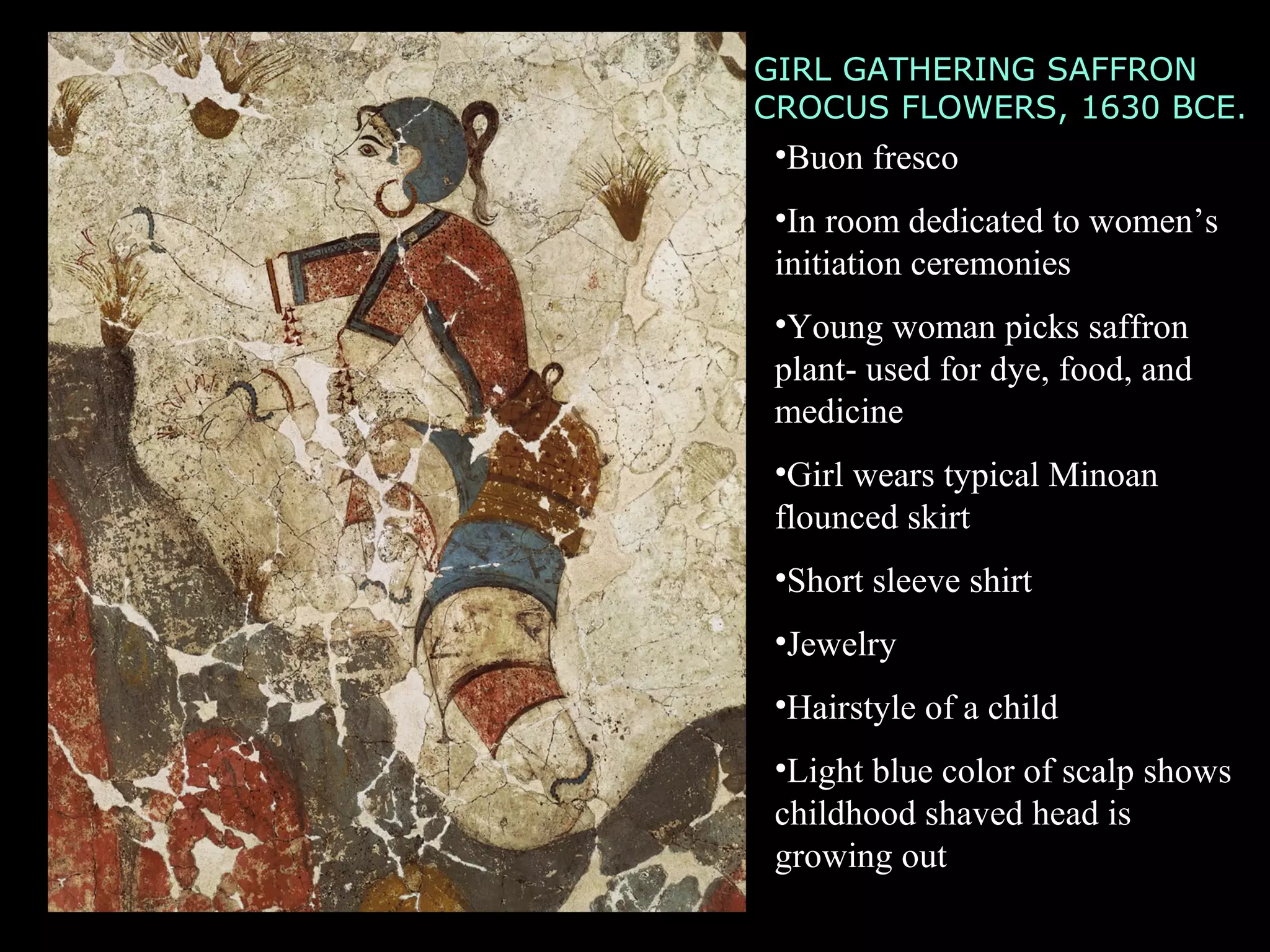 GIRL GATHERING SAFFRON
CROCUS FLOWERS, 1630 BCE.
•Buon fresco
•In room dedicated to women’s
initiation ceremonies
•Young woman picks saffron
plant- used for dye, food, and
medicine
•Girl wears typical Minoan
flounced skirt
•Short sleeve shirt
•Jewelry
•Hairstyle of a child
•Light blue color of scalp shows
childhood shaved head is
growing out
 