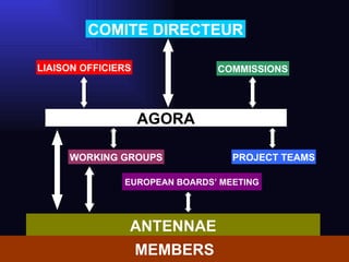 AGORA COMMISSIONS COMITE DIRECTEUR WORKING GROUPS PROJECT TEAM S EUROPEAN BOARDS’ MEETING ANTENNAE                                                                               LIAISON OFFICIERS MEMBERS 