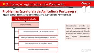 Problemas Estruturais da Agricultura Portuguesa
Quais são as formas de potencializar a Agricultura Portuguesa?
Os Espaços organizados pela População
No domínio da produção
Emparcelamento
Aumento da produtividade e do rendimento agrícolas
Diminuição do tempo e do esforço empregues na agricultura
Menor desgaste no uso de maquinaria agrícola
Diminuição dos custos de produção
Emparcelamento: operação que
consiste no redimensionamento das
explorações agrícolas, através da junção
de parcelas (por troca ou venda) que
antes estavam geograficamente
afastadas.
 