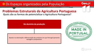 Problemas Estruturais da Agricultura Portuguesa
Quais são as formas de potencializar a Agricultura Portuguesa?
Os Espaços organizados pela População
No domínio da produção
Apostar na valorização e diferenciação dos produtos em que Portugal apresenta
vantagens comparativas.
 