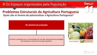 Problemas Estruturais da Agricultura Portuguesa
Quais são as formas de potencializar a Agricultura Portuguesa?
Os Espaços organizados pela População
No domínio da produção
Conciliar a produção com as necessidades de mercado, desenvolvendo estratégias
mais focadas em nichos de mercado específicos. Produtos biológicos
 