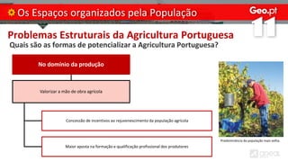 Problemas Estruturais da Agricultura Portuguesa
Quais são as formas de potencializar a Agricultura Portuguesa?
Os Espaços organizados pela População
No domínio da produção
Valorizar a mão de obra agrícola
Concessão de incentivos ao rejuvenescimento da população agrícola
Maior aposta na formação e qualificação profissional dos produtores
Predominância da população mais velha.
 