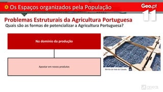 Problemas Estruturais da Agricultura Portuguesa
Quais são as formas de potencializar a Agricultura Portuguesa?
Os Espaços organizados pela População
No domínio da produção
Apostar em novos produtos
Mirtilo do Vale do Cávado.
 