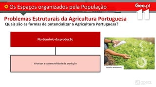 Problemas Estruturais da Agricultura Portuguesa
Quais são as formas de potencializar a Agricultura Portuguesa?
Os Espaços organizados pela População
No domínio da produção
Valorizar a sustentabilidade da produção
Desafios ambientais.
 