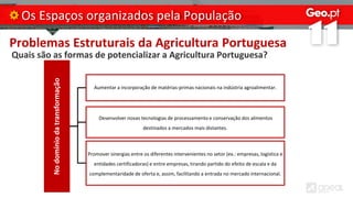 Problemas Estruturais da Agricultura Portuguesa
Quais são as formas de potencializar a Agricultura Portuguesa?
Os Espaços organizados pela População
No
domínio
da
transformação
Aumentar a incorporação de matérias-primas nacionais na indústria agroalimentar.
Desenvolver novas tecnologias de processamento e conservação dos alimentos
destinados a mercados mais distantes.
Promover sinergias entre os diferentes intervenientes no setor (ex.: empresas, logística e
entidades certificadoras) e entre empresas, tirando partido do efeito de escala e da
complementaridade de oferta e, assim, facilitando a entrada no mercado internacional.
 