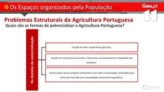 Problemas Estruturais da Agricultura Portuguesa
Quais são as formas de potencializar a Agricultura Portuguesa?
Os Espaços organizados pela População
No
domínio
da
comercialização
Criação de mais cooperativas agrícolas.
Investir em estruturas de recolha, tratamento, armazenamento e expedição dos
produtos.
Comercializar novos produtos alimentares com valor acrescentado, orientados para
nichos de mercado com necessidades nutricionais específicas.
 