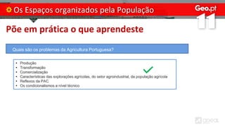 Põe em prática o que aprendeste
Os Espaços organizados pela População
Quais são os problemas da Agricultura Portuguesa?
• Produção
• Transformação
• Comercialização
• Características das explorações agrícolas, do setor agroindustrial, da população agrícola
• Reflexos da PAC
• Os condicionalismos a nível técnico
 