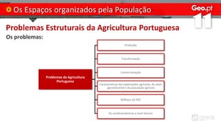 Problemas Estruturais da Agricultura Portuguesa
Os problemas:
Os Espaços organizados pela População
Problemas da Agricultura
Portuguesa
Produção
Transformação
Comercialização
Características das explorações agrícolas, do setor
agroindustrial e da população agrícola
Reflexos da PAC
Os condicionalismos a nível técnico
 