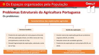 Problemas Estruturais da Agricultura Portuguesa
Os problemas:
Os Espaços organizados pela População
Caracteristicas das explorações agrícolas
Estrutura fundiária Gestão das explorações
• Predomínio de explorações de muito pequena dimensão
(73% das explorações tinham, em 2019, menos de 5 ha),
principalmente a norte do rio Tejo.
• Elevada fragmentação das explorações, sobretudo a norte
do rio Tejo.
• Grande maioria das explorações gerida por produtores
singulares (94,5%, em 2019).
• Reduzido número de sociedades agrícolas.
• Predomínio da exploração por conta própria (95,5%, em
2019).
• Reduzidos níveis de rendimento e produtividade agrícola
• Entraves à mecanização da agricultura
• Fraco associativismo
• Elevado individualismo agrário
 