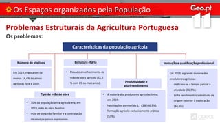 Problemas Estruturais da Agricultura Portuguesa
Os problemas:
Os Espaços organizados pela População
Características da população agrícola
Número de efetivos Instrução e qualificação profissional
Em 2019, registaram-se
menos 14,4% de ativos
agrícolas face a 2009.
• A maioria dos produtores agrícolas tinha,
em 2019:
- habilitações ao nível do 1.° CEB (46,3%);
- formação agrícola exclusivamente prática
(53%).
Tipo de mão de obra
Estrutura etária
Produtividade e
plurirrendimento
• 70% da população ativa agrícola era, em
2019, mão de obra familiar.
• mão de obra não familiar e a contratação
de serviços pouco expressivos.
• Elevado envelhecimento da
mão de obra agrícola (52,5
% com 65 ou mais anos).
Em 2019, a grande maioria dos
produtores agrícolas:
- dedicava-se a tempo parcial à
atividade (86,9%);
- tinha rendimentos sobretudo de
origem exterior à exploração
(84,6%).
 