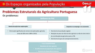 Problemas Estruturais da Agricultura Portuguesa
Os problemas:
Os Espaços organizados pela População
Reflexos da PAC
Reestruturação das explorações Impactes no emprego e na economia
• Fraca competitividade
• Abandono do setor agrícola
• Envelhecimento da população ativa agrícola
• Aumento da dependência externa
• Diminuição significativa do número de explorações agrícolas
(mais de 50% entre 1989 e 2019).
• Decréscimo da produção vegetal.
• Redução do peso da mão de obra agrícola na mão de obra total e
da contribuição da agricultura para o PIB.
• Decréscimo do grau de autoaprovisionamento.
 