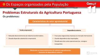 Problemas Estruturais da Agricultura Portuguesa
Os problemas:
Os Espaços organizados pela População
Características do setor agroindustrial
Tecido empresarial Dependência externa
• Reduzido desenvolvimento da indústria transformadora.
• Elevada dispersão subsetorial e empresarial.
• Fraco peso negocial das empresas no mercado internacional.
• Grande dependência das importações.
• Elevado peso dos custos operacionais (ex.: energia e
transportes).
• Obstáculos ao desenvolvimento da indústria agroalimentar
• Aumento da dependência externa
 