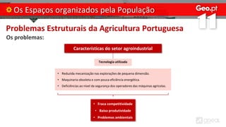 Problemas Estruturais da Agricultura Portuguesa
Os problemas:
Os Espaços organizados pela População
Características do setor agroindustrial
Tecnologia utilizada
• Reduzida mecanização nas explorações de pequena dimensão.
• Maquinaria obsoleta e com pouca eficiência energética.
• Deficiências ao nível da segurança dos operadores das máquinas agrícolas.
• Fraca competitividade
• Baixa produtividade
• Problemas ambientais
 