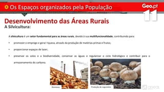Desenvolvimento das Áreas Rurais
A Silvicultura:
Os Espaços organizados pela População
A silvicultura é um setor fundamental para as áreas rurais, devido à sua multifuncionalidade, contribuindo para:
• promover o emprego e gerar riqueza, através da produção de matérias-primas e frutos;
• proporcionar espaços de lazer;
• preservar os solos e a biodiversidade, conservar as águas e regularizar o ciclo hidrológico e contribuir para o
armazenamento do carbono.
Biomassa Produção de cogumelos
 