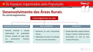 Desenvolvimento das Áreas Rurais
Os constrangimentos:
Os Espaços organizados pela População
Constrangimentos do setor
Característica da propriedade florestal
• Reduzida dimensão e elevada
fragmentação da propriedade
florestal, ocupada em larga escala
por povoamentos florestais
degradados.
Baixa rentabilidade Elevado risco
• Decréscimo do valor acrescentado
silvícola.
• Degradação dos preços na produção
face aos consumos intermédios.
• Elevada exposição a agentes bióticos
(fungos e insetos) e abióticos (clima,
perturbações ao nível do solo,
incêndios florestais).
 