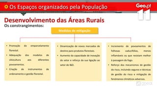 Desenvolvimento das Áreas Rurais
Os constrangimentos:
Os Espaços organizados pela População
Medidas de mitigação
• Promoção do emparcelamento
florestal.
• Adequação dos modelos de
silvicultura aos diferentes
povoamentos.
• Criação de instrumentos de
ordenamento e gestão florestal.
• Dinamização de novos mercados de
destino para produtos florestais.
• Aumento da capacidade de inovação
do setor e reforço da sua ligação ao
setor de I&D.
• Incremento de povoamentos de
folhosas caducifólias, menos
inflamáveis ou que resistam melhor
à passagem do fogo.
• Reforço dos mecanismos de gestão
do risco, incluindo seguros e técnicas
de gestão do risco e mitigação de
fenómenos climáticos adversos.
 