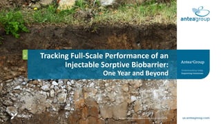 Tracking Full-Scale Performance of an
Injectable Sorptive Biobarrier:
One Year and Beyond
The logo and ANTEA are registration trademarks of Antea USA, Inc.
 