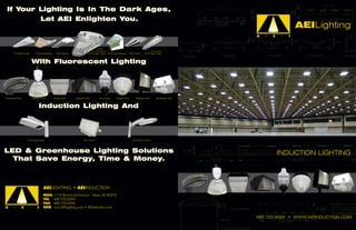 If Your Lighting Is In The Dark Ages,
                                 Let AEI Enlighten You.
                                                                                                                                                                            AEILighting
                                                                                                                                                            A     E     I


                                                                                  VT4X
                                                                             3- to 6-Lamp                                          1- to 3-Lamp
      T5 Retail Louver      T5/T8 Adjustable    T5/T8 Sensor             T5/T8 Vapor Tight   T5/T8 Cold Storage   T5/T8 VMAX   T5/T8 Vapor Tight



                         With Fluorescent Lighting




CobraHead MAX            HighBay MAX           Canopy MAX      Wallpack MAX        Acorn MAX         Garage MAX        WallPack MAX       Gas Station MAX



                               Induction Lighting And




                    LED Cobra Head                                   LED Tunnel                                      LED Cobra Head 2




LED & Greenhouse Lighting Solutions                                                                                                                                   INDUCTION LIGHTING
  That Save Energy, Time & Money.



                                   AEILIGHTING • AEIINDUCTION
                                   MAIL 1113 Birchwood Avenue Mesa, AZ 85210
                                   TEL 480.733.6594
                                   FAX 480.733.6596
A            E               I     WEB www.AEILighting.com • AEIInduction.com

                                                                                                                                                            480.733.6594 • WWW.AEIINDUCTION.COM
 