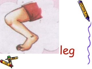 •
leg