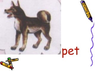 •
pet