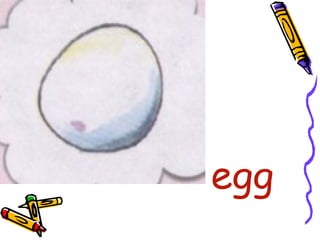•
egg