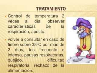  Control de temperatura 2
veces al día, observar
características de la
respiración, apetito.
 volver a consultar en caso de
fiebre sobre 38ºC por más de
2 días, tos frecuente e
intensa, pausas respiratorias,
quejido, dificultad
respiratoria, rechazo de la
alimentación.
TRATAMIENTO
 