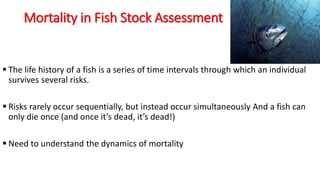 EXPONENTIAL DACAY MODEL & MORTALITY CONCEPT IN FISH STOCK ASSESSMENT | PPTX