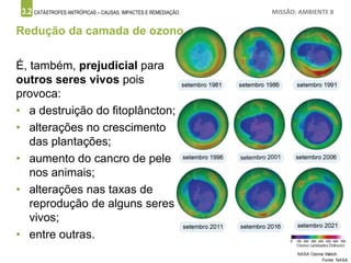 3.2 CATÁSTROFES ANTRÓPICAS – CAUSAS, IMPACTES E REMEDIAÇÃO MISSÃO: AMBIENTE 8
Redução da camada de ozono
É, também, prejudicial para
outros seres vivos pois
provoca:
• a destruição do fitoplâncton;
• alterações no crescimento
das plantações;
• aumento do cancro de pele
nos animais;
• alterações nas taxas de
reprodução de alguns seres
vivos;
• entre outras.
 